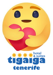 Nueva imagen (3)