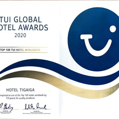 tui (2) global award