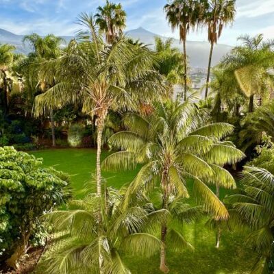 Hotel-Tigaiga-palmeras-810x466