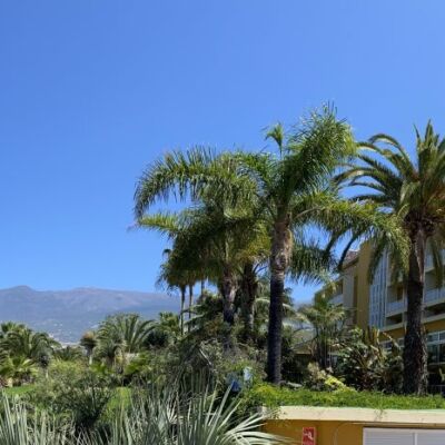 IMG_5752-810x466