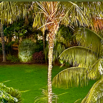 Captura de pantalla 2026-03-30 151350 t