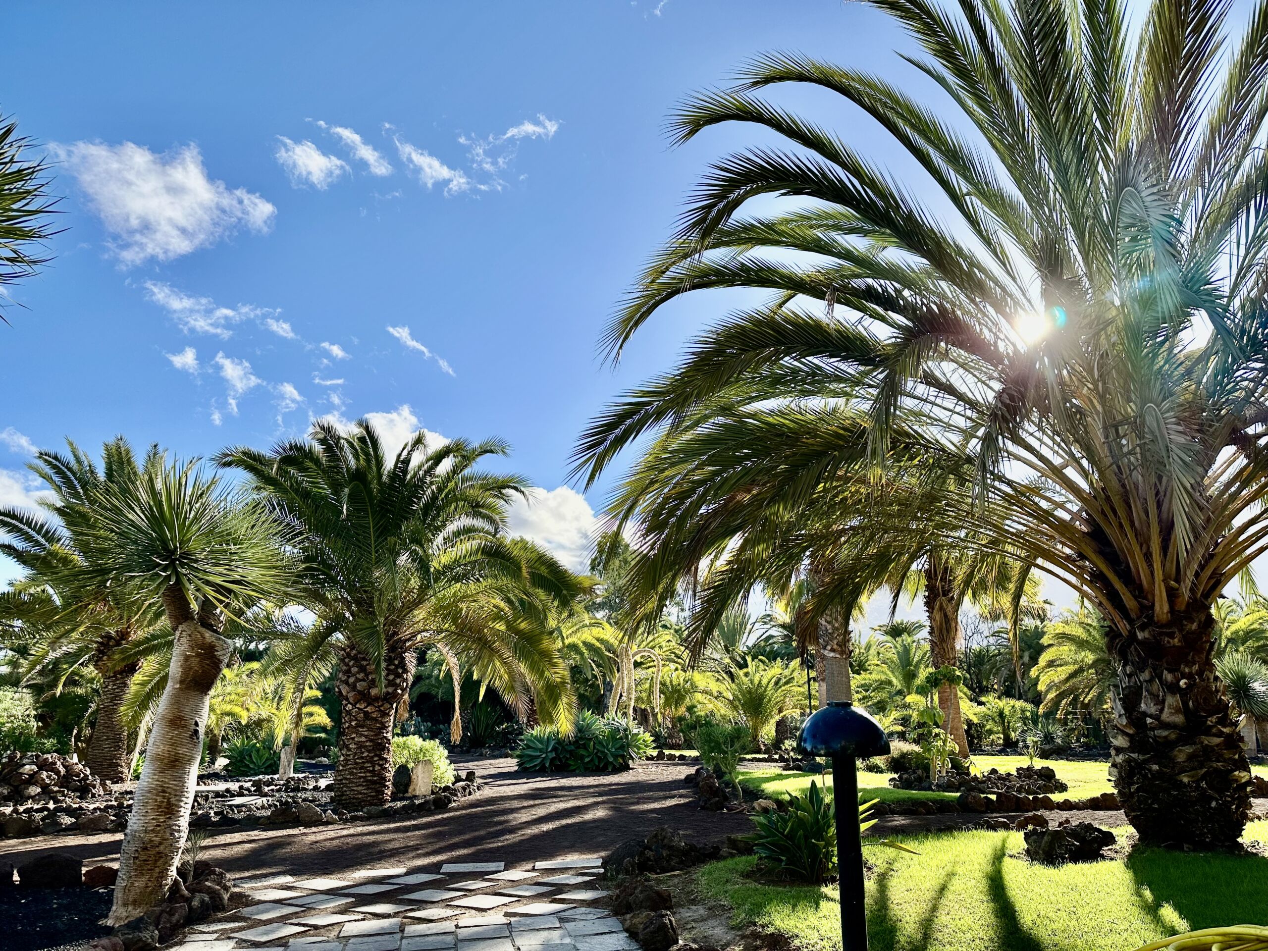 Hotel Tigaiga jardines 4